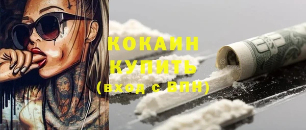 дживик Абаза