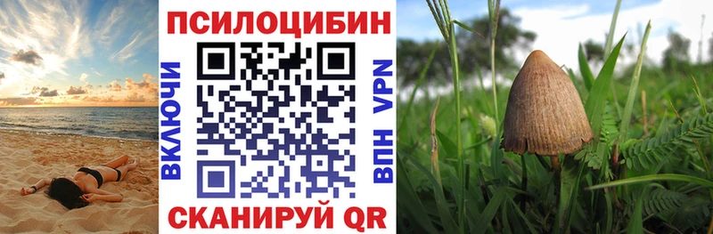 Псилоцибиновые грибы мицелий  это официальный сайт  Отрадное 