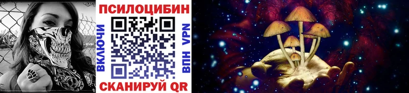 Галлюциногенные грибы мицелий Отрадное