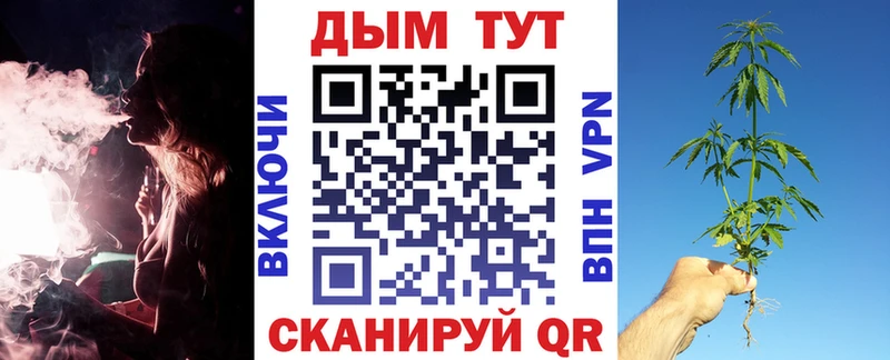 кракен tor  Отрадное  Конопля Amnesia  где можно купить  